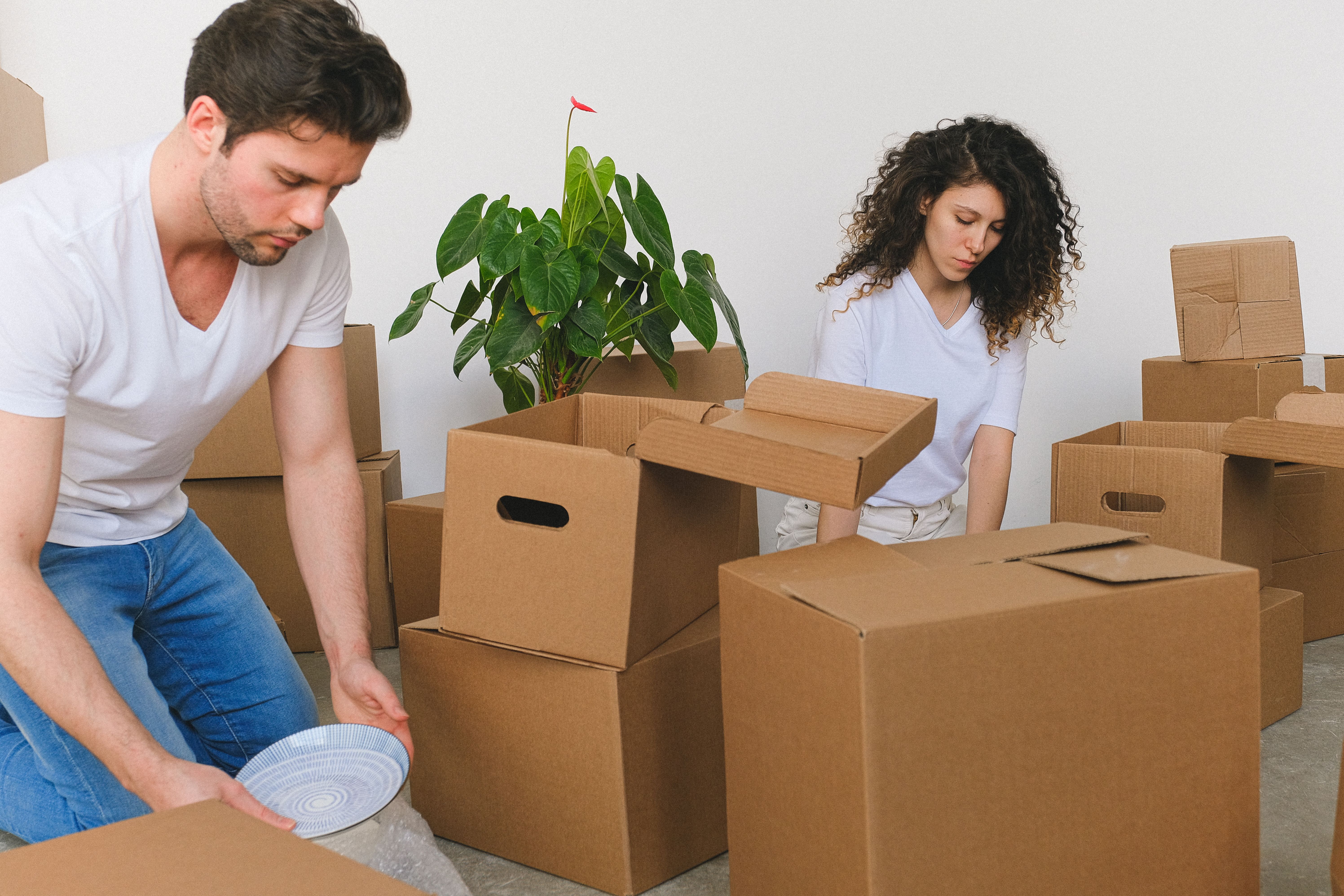 Household Shifting